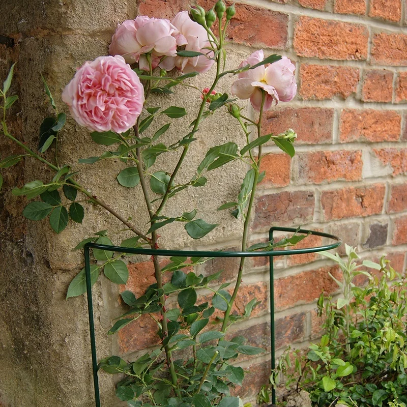 2 pc/4pc/6pc/12pc/24pc Metal Garden Flower Plant Stakes Climbing Bow Plant Supports for Flowers Rose Tomatoes