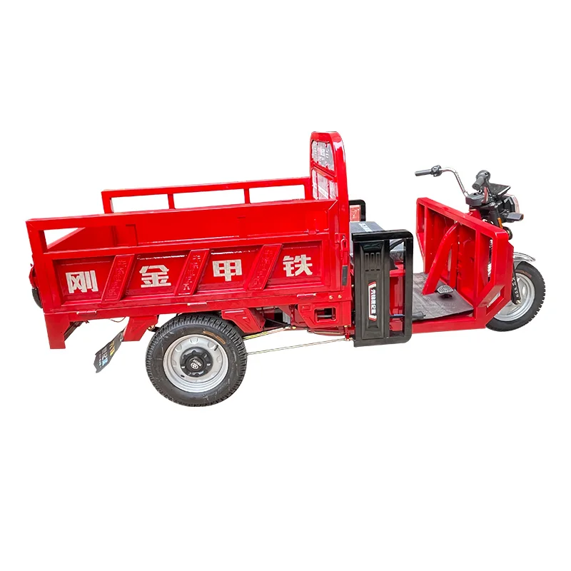 Low Price 1000W Motor 3 Wheel Bike Fast Electric Tricycle For Adults