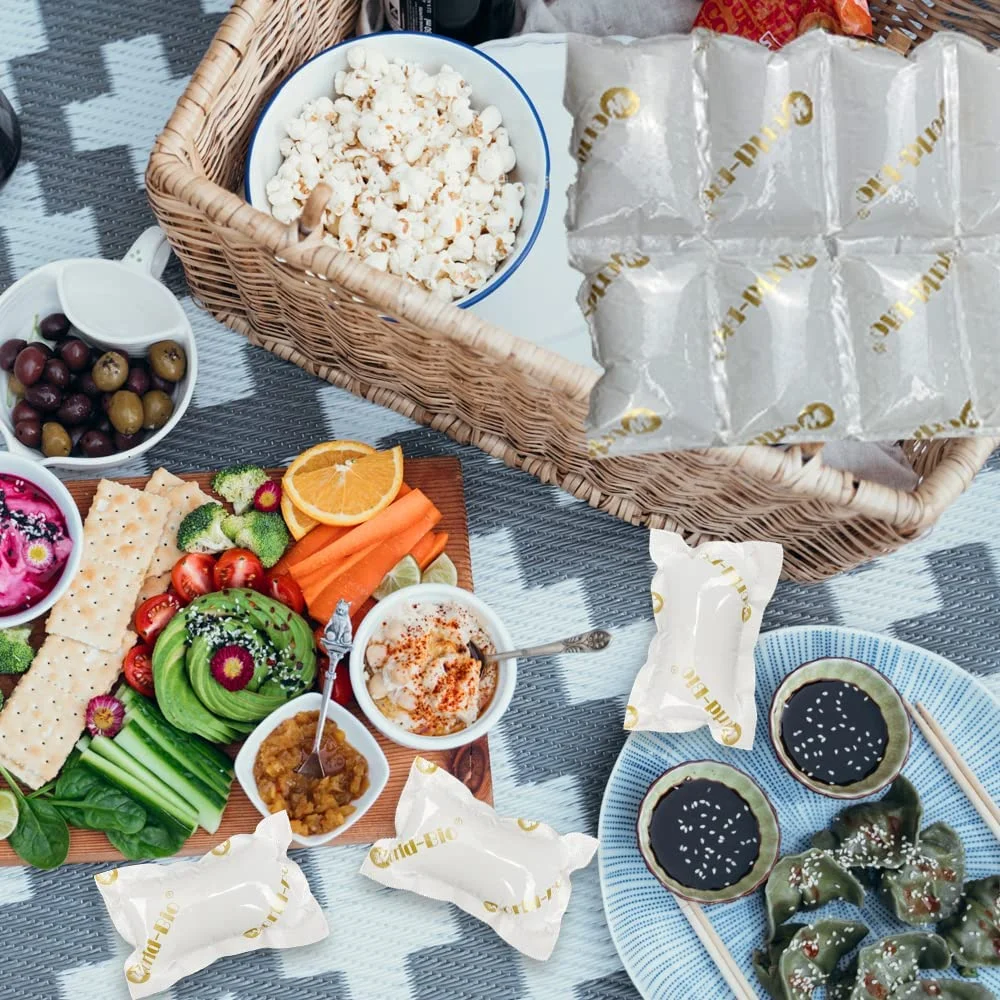 12 Sheets Disposable Cooler Bag Ice Pack Sheet and Freezer Dry Ice Pack for Shipping Frozen Food Ice Pack Sheet