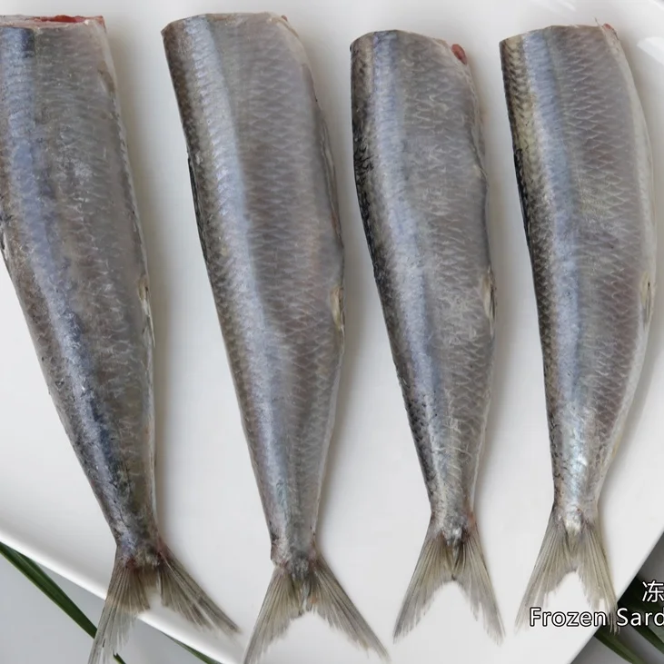 Best China Supplied Frozen Sardinella Fresh Sardinelle Fish Bqf Whole Round Frozen Sardine Aurita For Sale