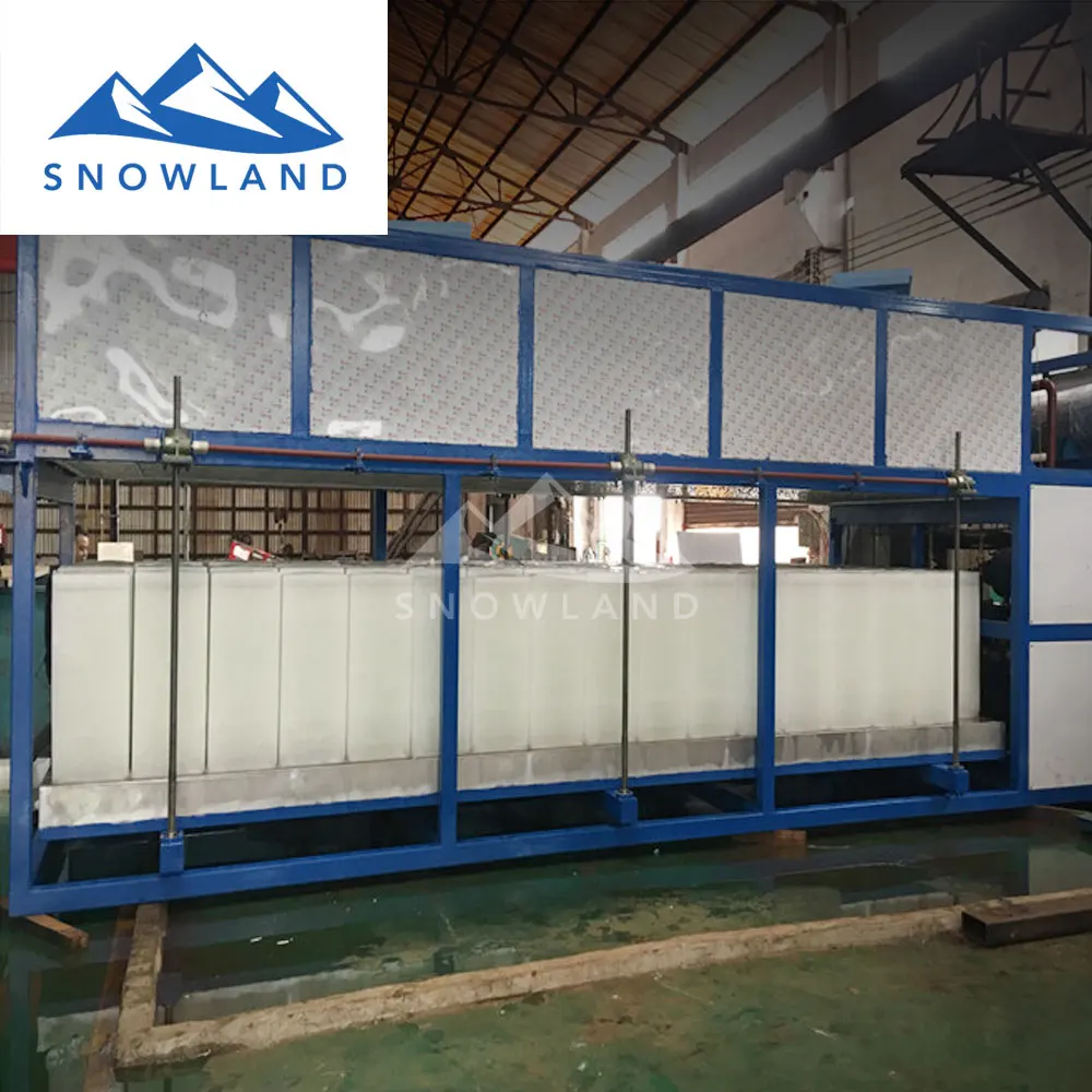 machine ice maker with 30 tons capacity block ice