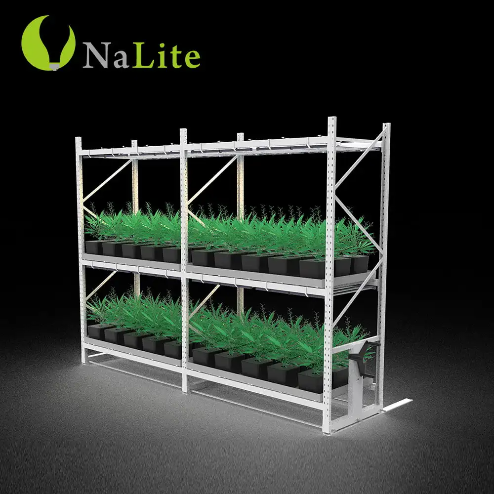 2022 Agriculture 4*8 ft Multi-level 2 Tiers Vertical Grow Rack Systems Mobile Rack For Sale