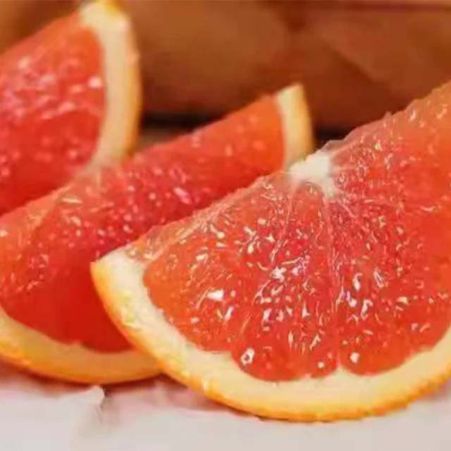 Оптовая продажа вкусные сладкие свежие цитрусовые апельсины кровь оранжевый
