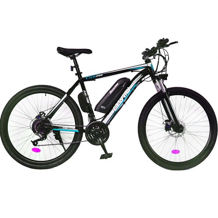 Hot high quality e bike china manufacturer customized 10Ah electric bike 36V/48V 250W/350W/500W electric mountain bicycle