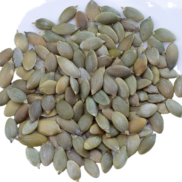 Direct Sales By Manufacturers Pumpkin Seeds Online Snow White Pumpkin Seeds Seeds Pumpkin Wholesale