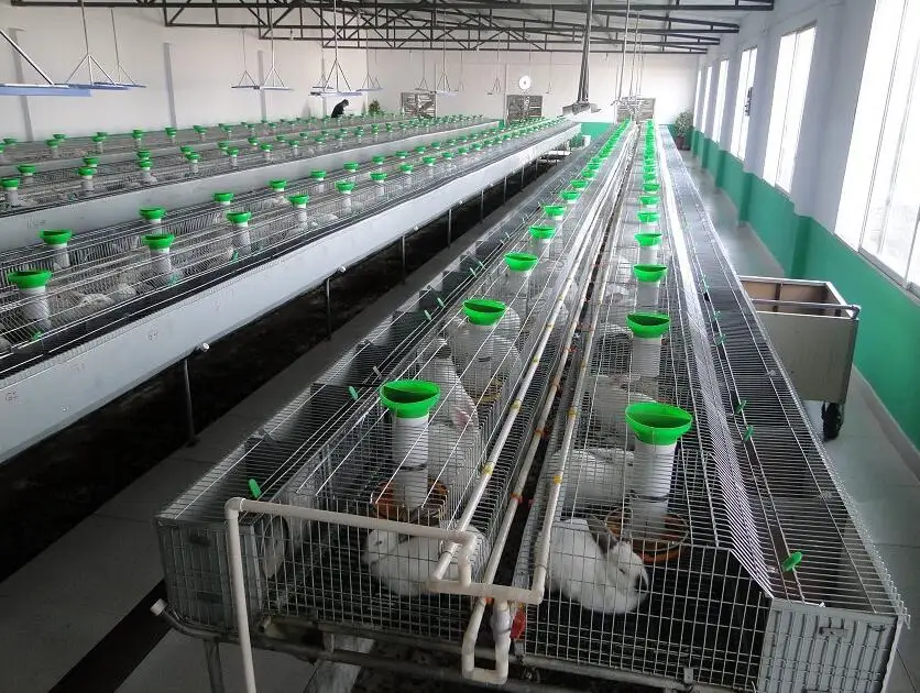 Factory Supply Rabbit Cage for Sale/Poultry Farming Equipment