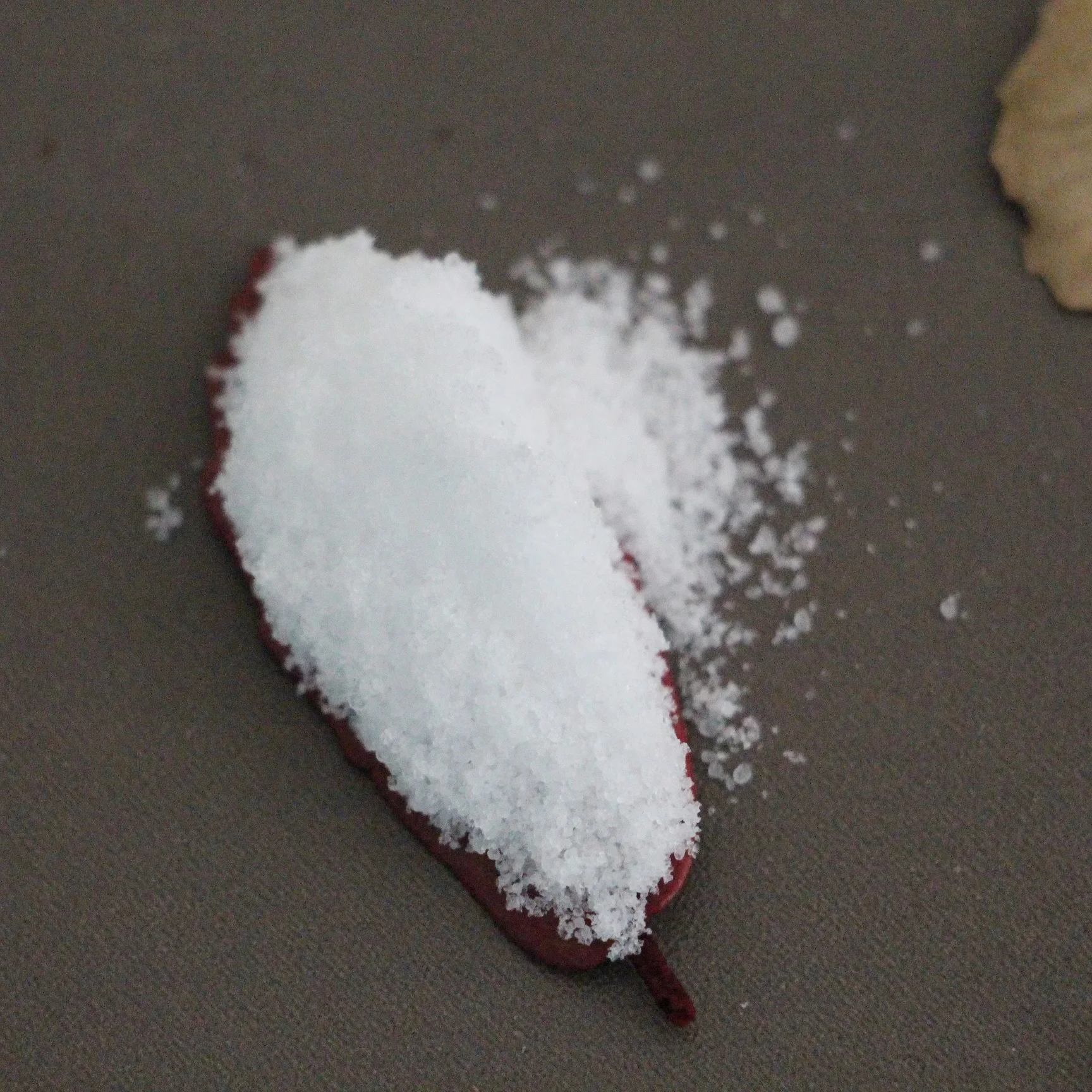 Gold supplier CAS 141-53-7 Sodium Formate 95% Produce sodium hydrosulfite