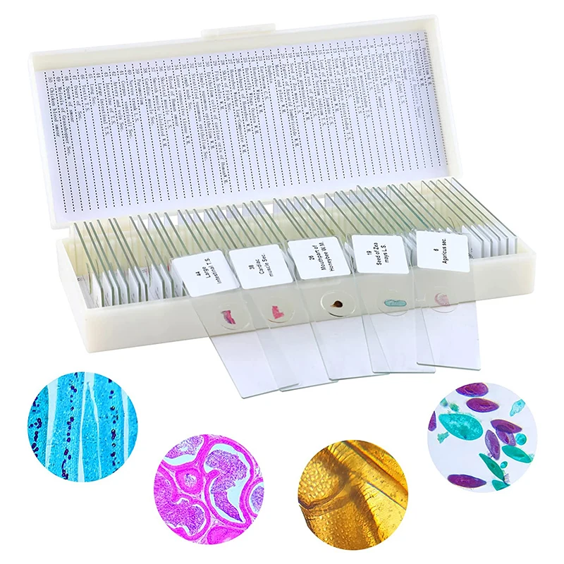 Fixed 50 Kinds Prepared Bacterial Microscope Slides For Microbiology Education