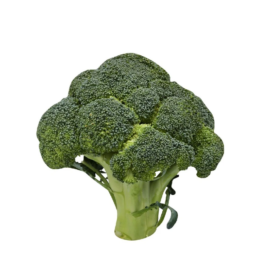 IQF reliable quality healthy broccoli importers of frozen fruit and vegetable price