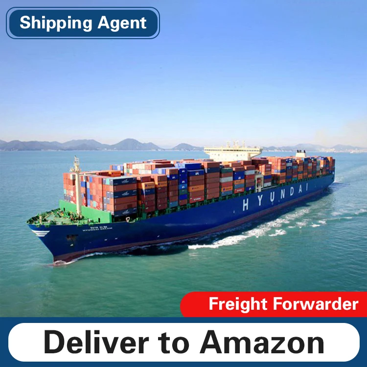 2022 Newest Zhejiang China Sea Freight Agents to Canada Sea Shipping Customs Clearance Service