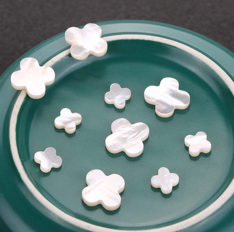 2020 New Design Shell Case Shell Cover Shell