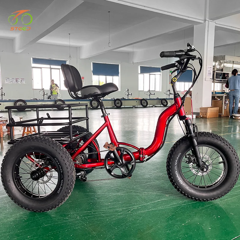 Steed tricycle electric bike models para adulto electric delivery bike