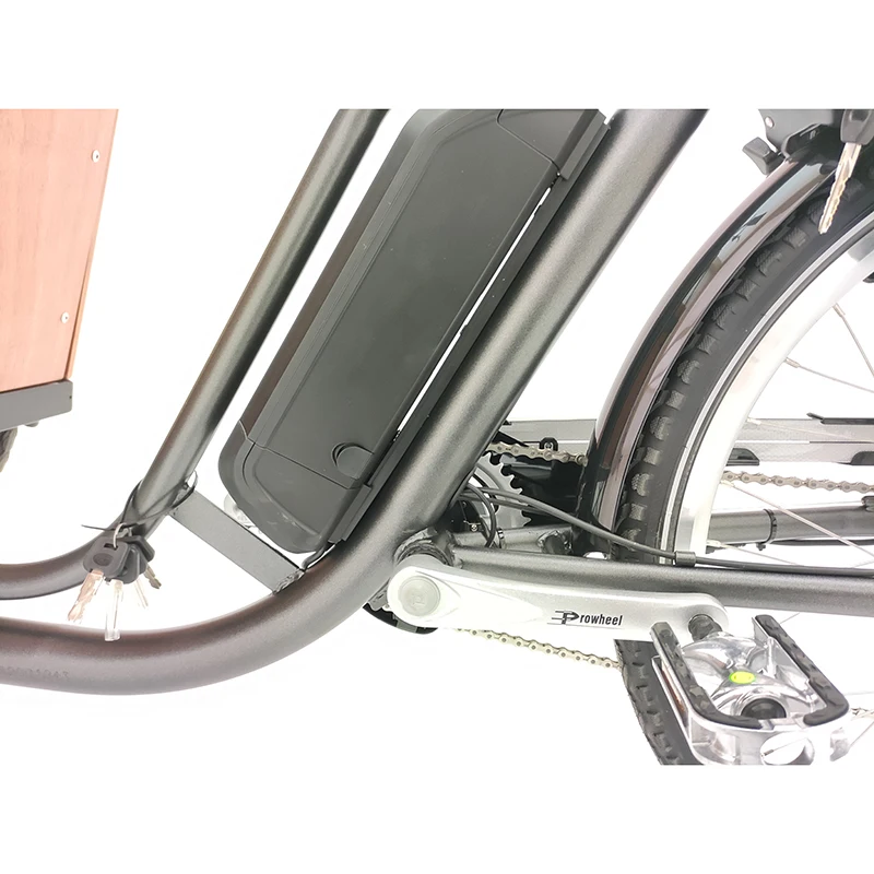 Delivery bike three wheel cargo use front loading electric cargo bike for sale