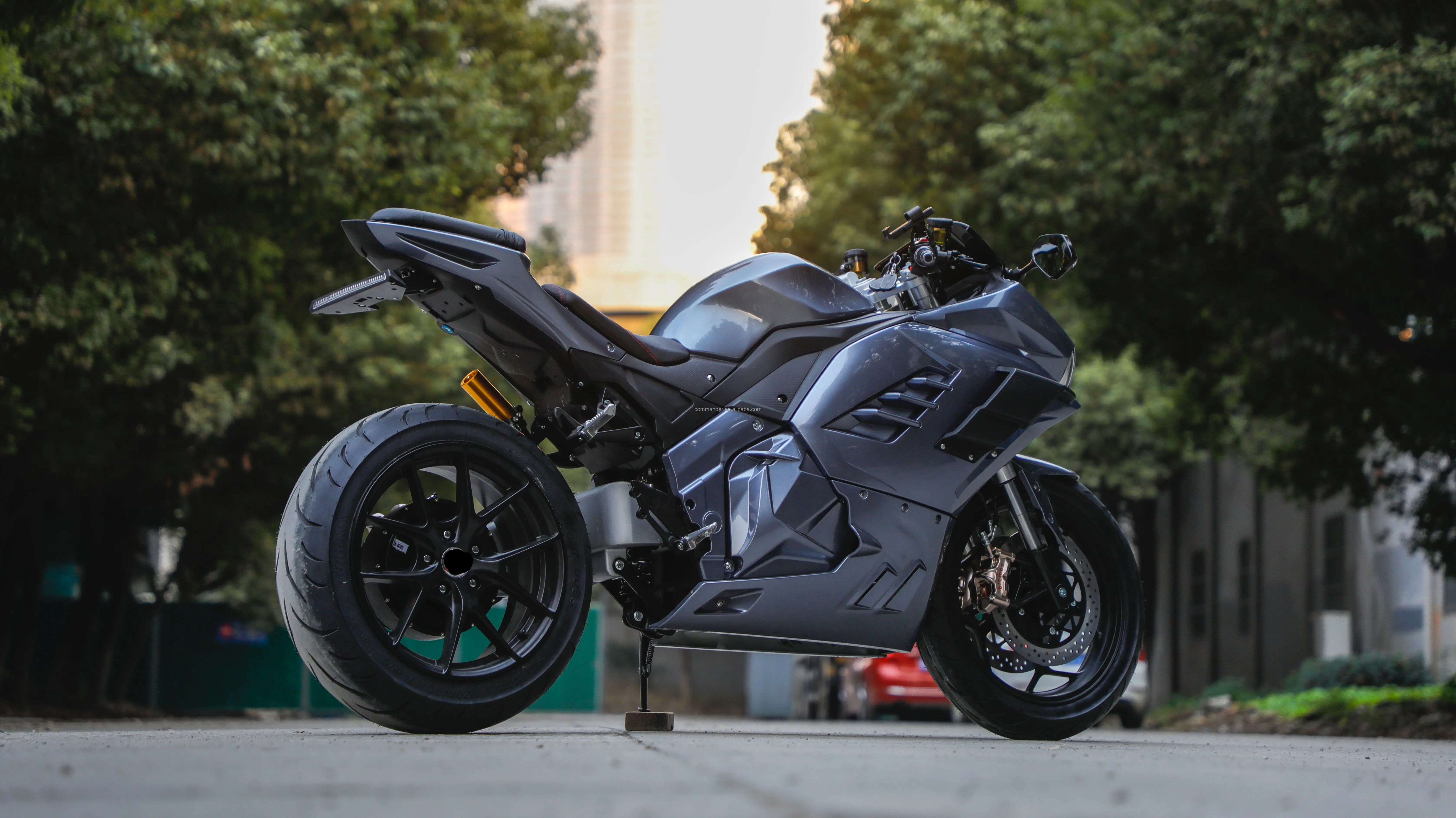 Long range 250KM  most popular adult electric motorcycle with 8000W singe swing arm motor