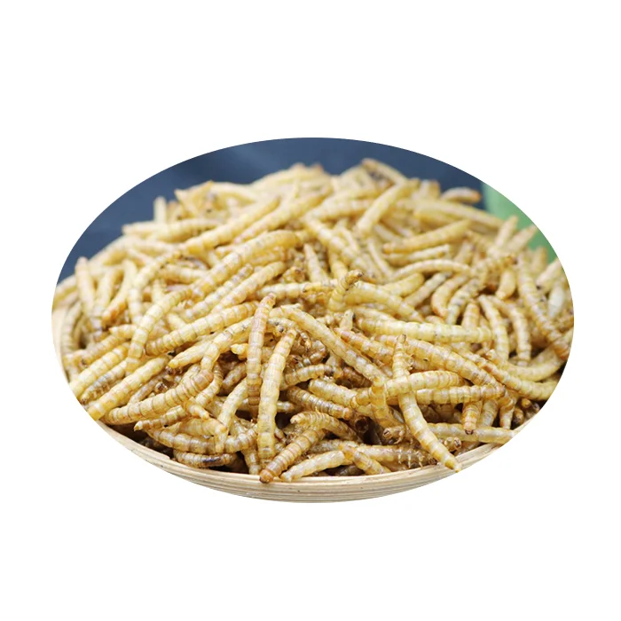 Сохнущий протеин для пищевых продуктов mealworm