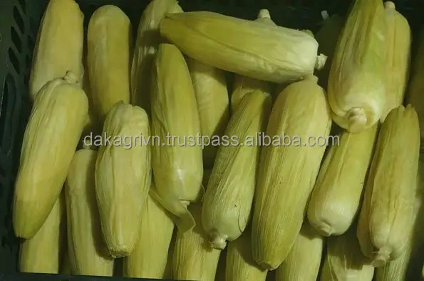 Вьетнам оптовая продажа не клейкая сладкая кукуруза очень питательная пища замороженная для здорового приготовления пищи