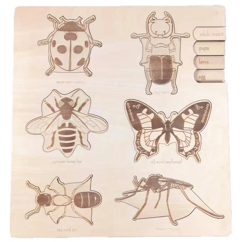 custom Insect Analysis Jigsaw Basswood Map Enlightenment jigsaw puzzles early learning educational toy