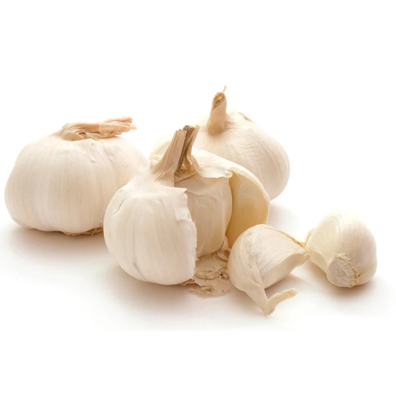 
Jin Xiang Plant Top Grade 6.0 cm Chinese Garlic Cheap Price China Pure White garlic 