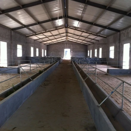 Goat Sheep Steel Structure Farmhouse