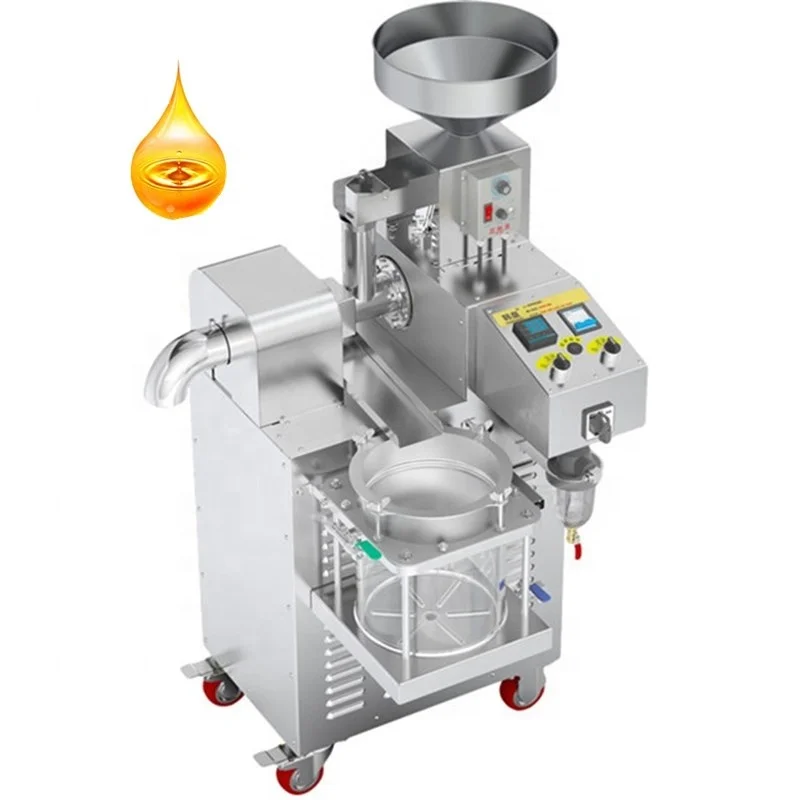 Commercial 30KG/H Peanut Sunflower Flaxseed Cold Press Oil Machine Stainless Steel Oil Press Machine With Oil Filter