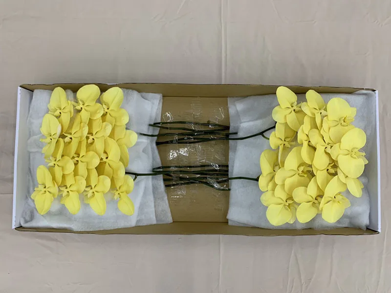 Wholesale Cheap Phalaenopsis Orchid Preserved Flowers Yellow