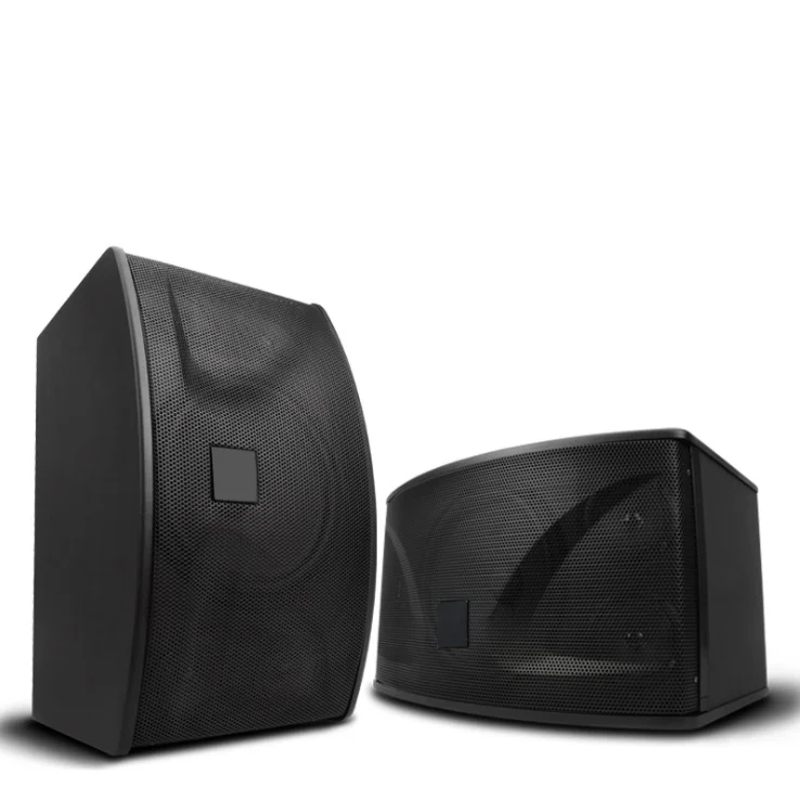 Professional family KTV audio 10 inch conference dance room karaoke home speaker