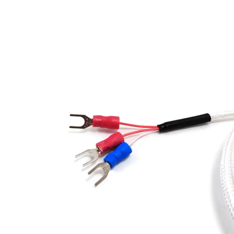 FOCUSENS PT100 DS18B20  PTFE PT100 RTD Professional 3 Wire Temperature Sensor Waterproof Thermistor Probe Temperature