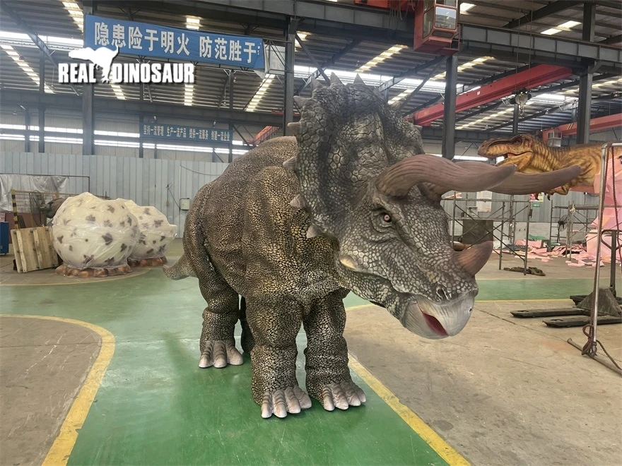 Adventure park realistic triceratops dinosaur costume for two performer