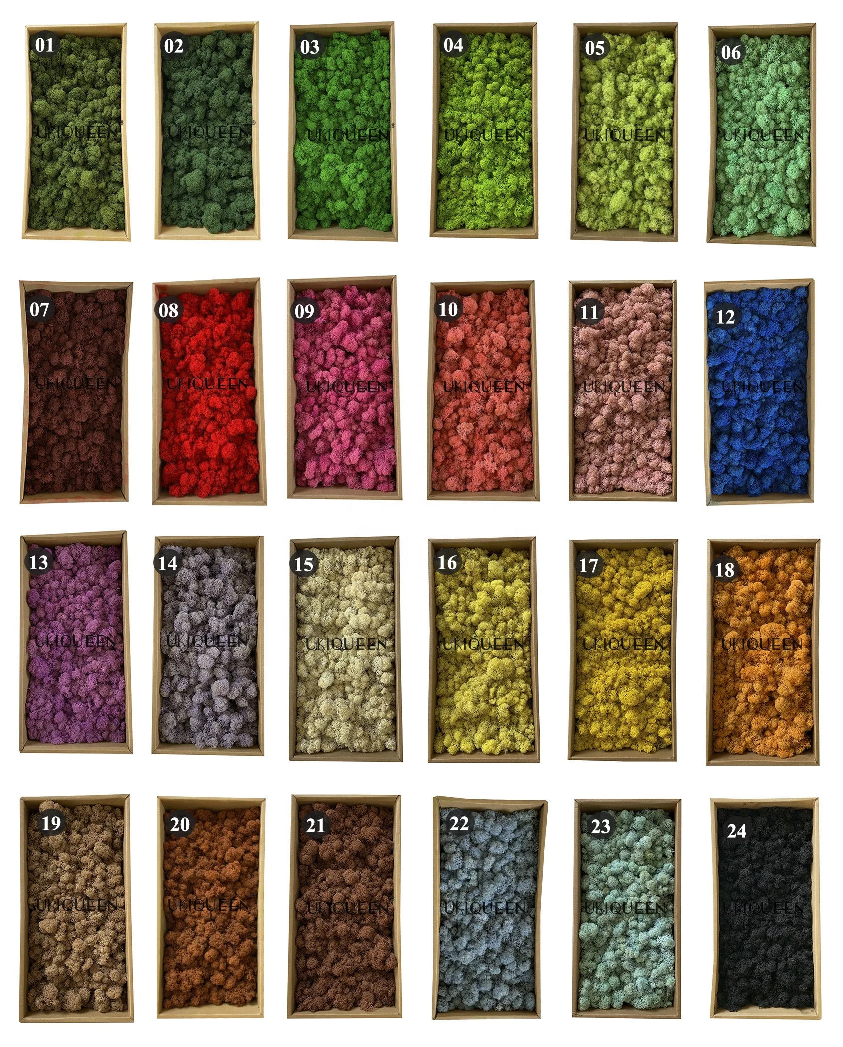 High quality China natural moss wall eternal dried preserved moss