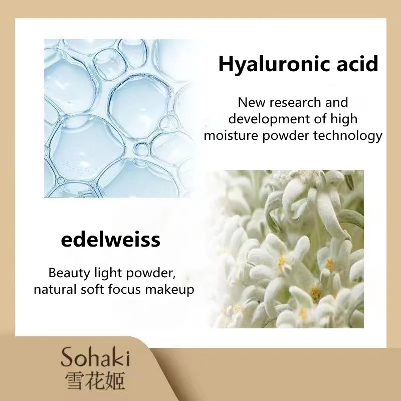 High quality OEM Wholesale Cosmetics Transparent Face Powder  Loose Face Powder luxury makeup Private Label Setting Powder