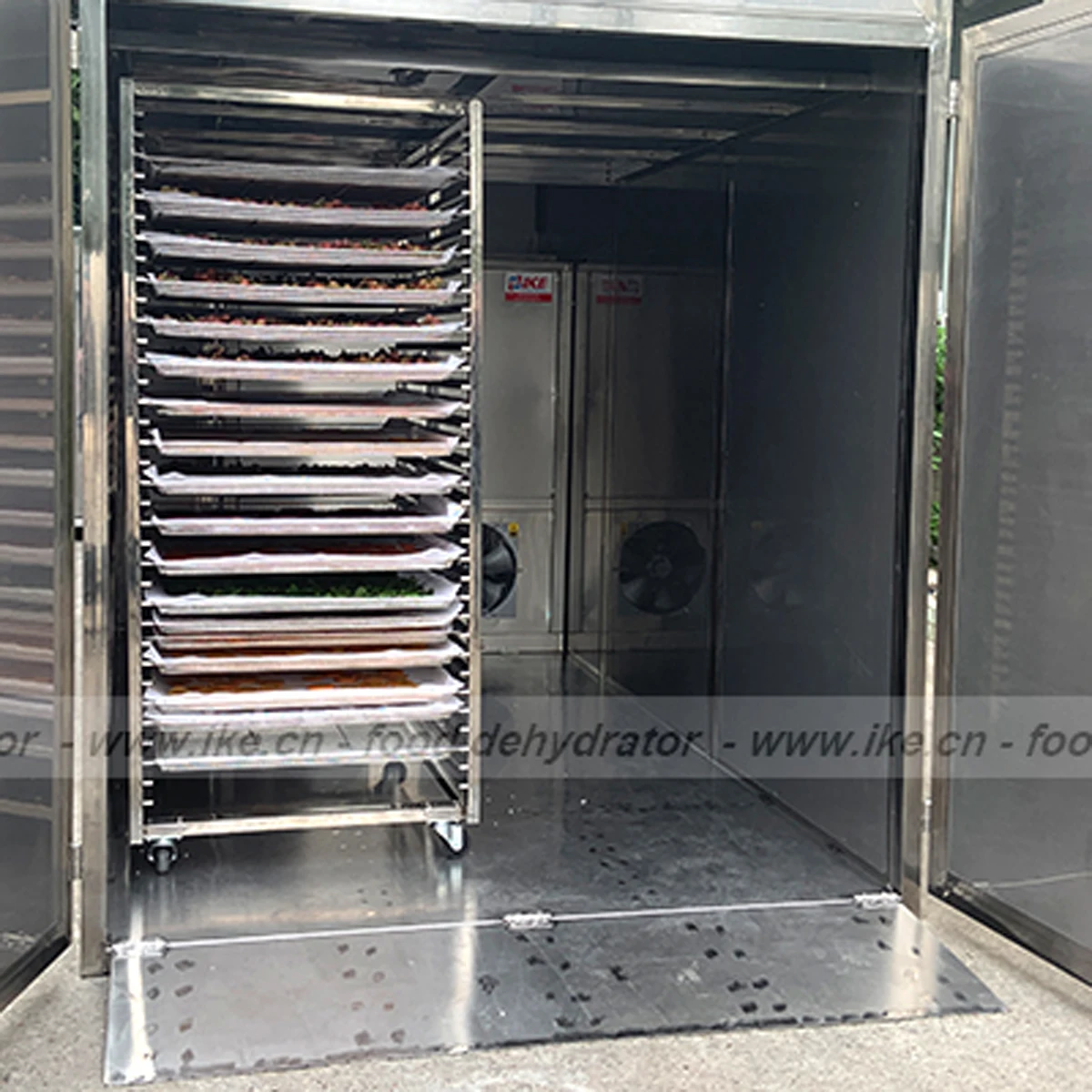 vegetable and fruit drying equipment for fig tomato red dates garlic apricot green bean