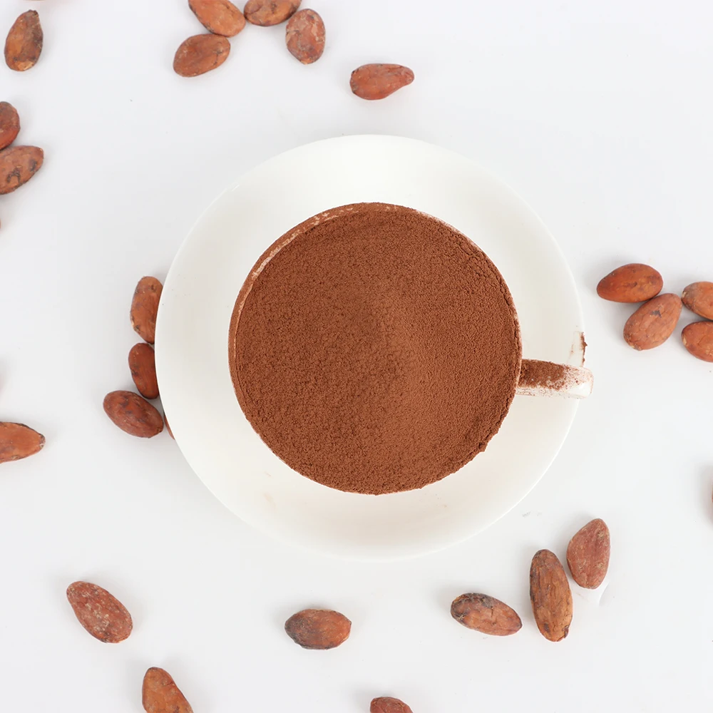 Manufacturer premium Alkalized Cocoa Powder JR02(reddish brown) Supplier made from West Africa cocoa bean Selling