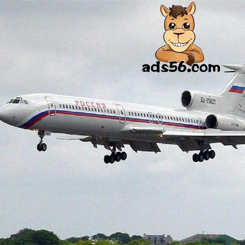 Express door-to-door service to Uzbekistan,  DHL UPS FEDEX