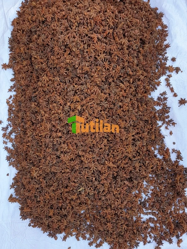 Оптовая продажа с завода самая низкая цена и лучшее качество специи приправы семена вьетнамского аниса