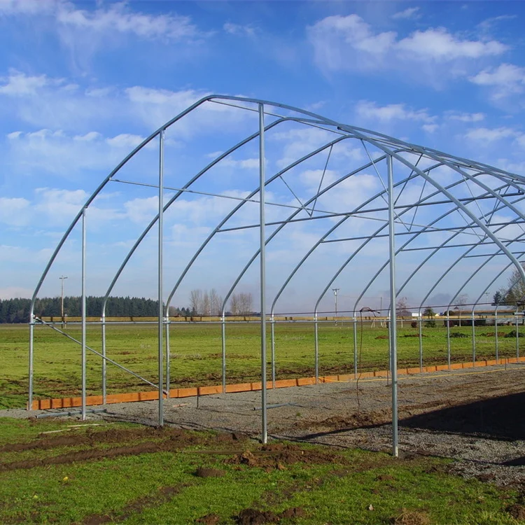 BAOLIDA serre gothique US CANADA agriculture length 100ft high tunnel plastic greenhouse