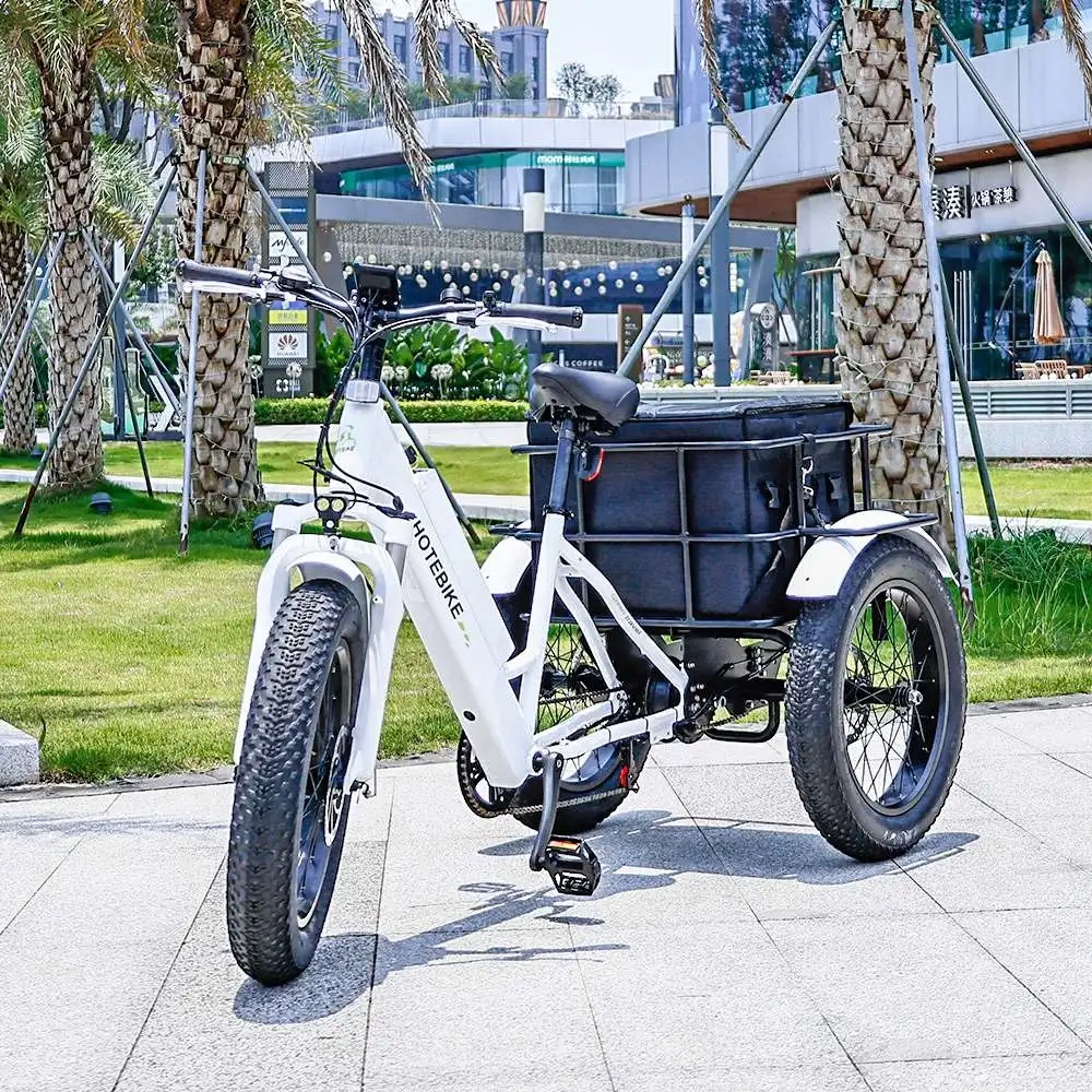 long range electric 3 wheel drift trike 36v 48v farm cargo electric bike electric vehicle tricycle