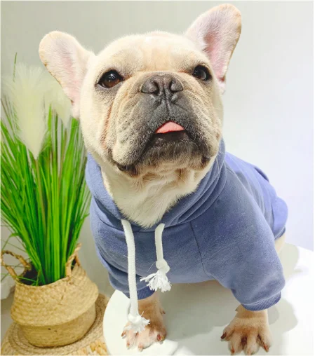 Top Selling Fashion Spring Autumn Plain Pattern Male Female Matching Dog And Human Pet Clothes