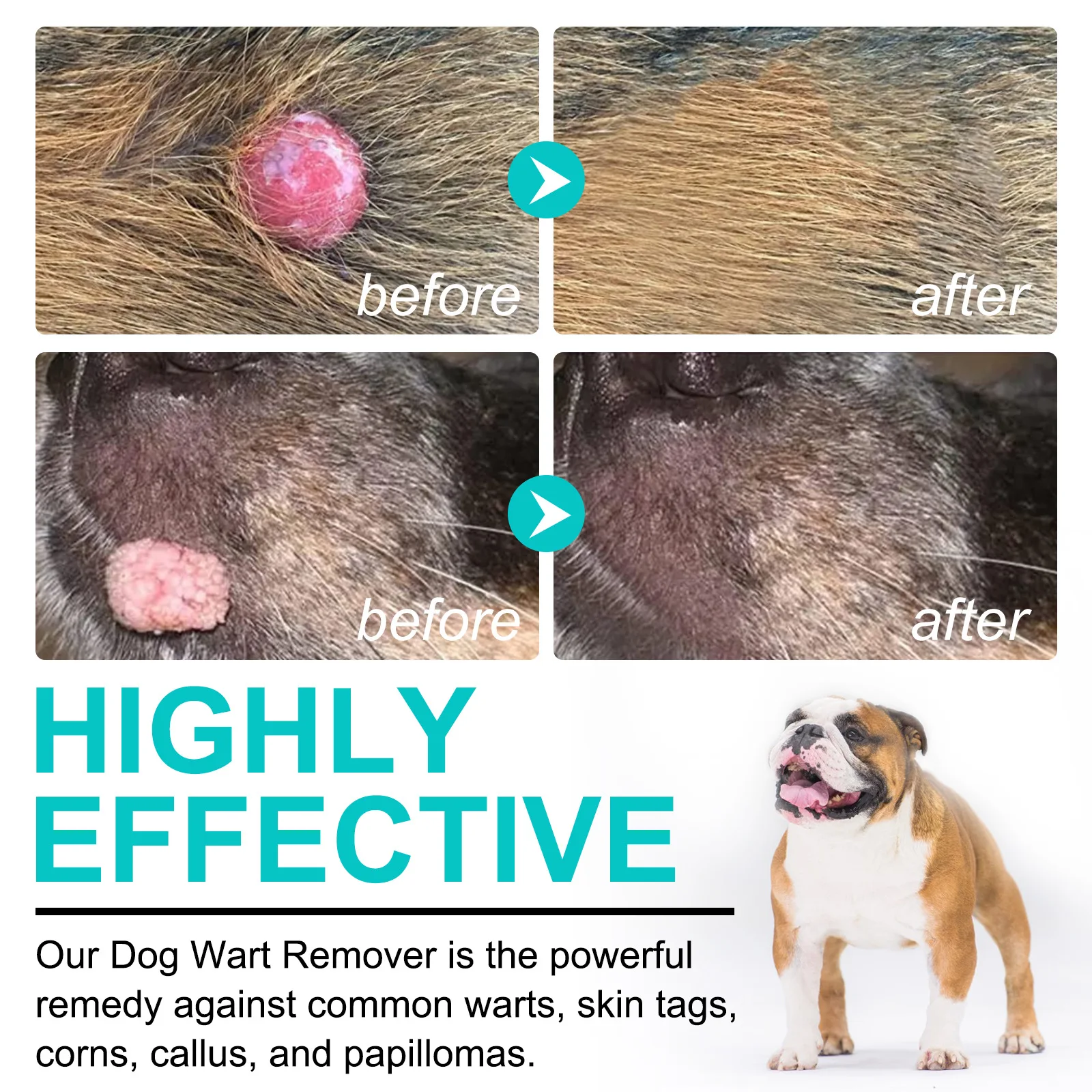 Wholesale ELAIMEI 100% Natural Ingredients Dogs Wart Remover Effective Painless Dogs Skin Tags Callus Papillomas Remover Drops