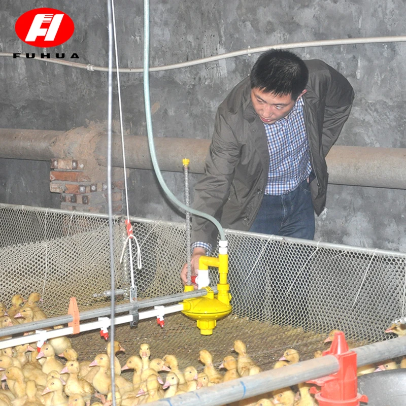 
Оборудование для птицефермы broiler, капельная поилка для птиц, для цыплят, оптовая цена, бесплатные образцы 
