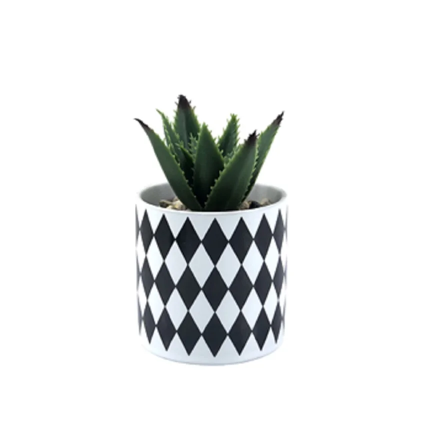 Manufacturers wholesale artificial combination succulent plant home decoration tabletop ornaments artistic sense pot bonsai gree