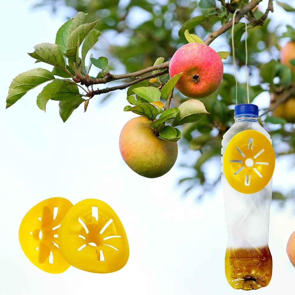 Chanson factory 2 pack Indoor and outdoor hanging garden plastic wasp fly traps for hunting wasps