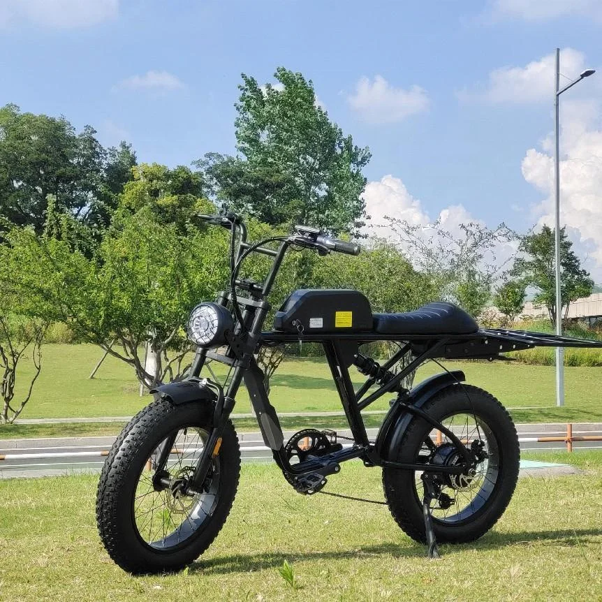 Hot Sale Eec 20inch Dutch Retro Classic Ebike City Bike Electric Bicycle 700c