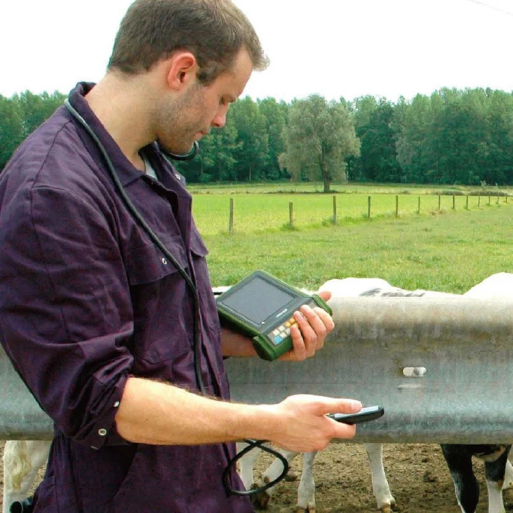 Laptop Veterinary Ultrasound Scanner Handheld Ultrasound Advanced Imaging Technology Trusted Veterinary Ultrasound from China