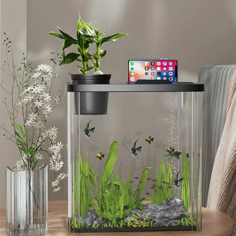 Transparent Acrylic Fish tank Ornamental Aquarium Landscaping with Cover Living Room Small Desktop Medium Size