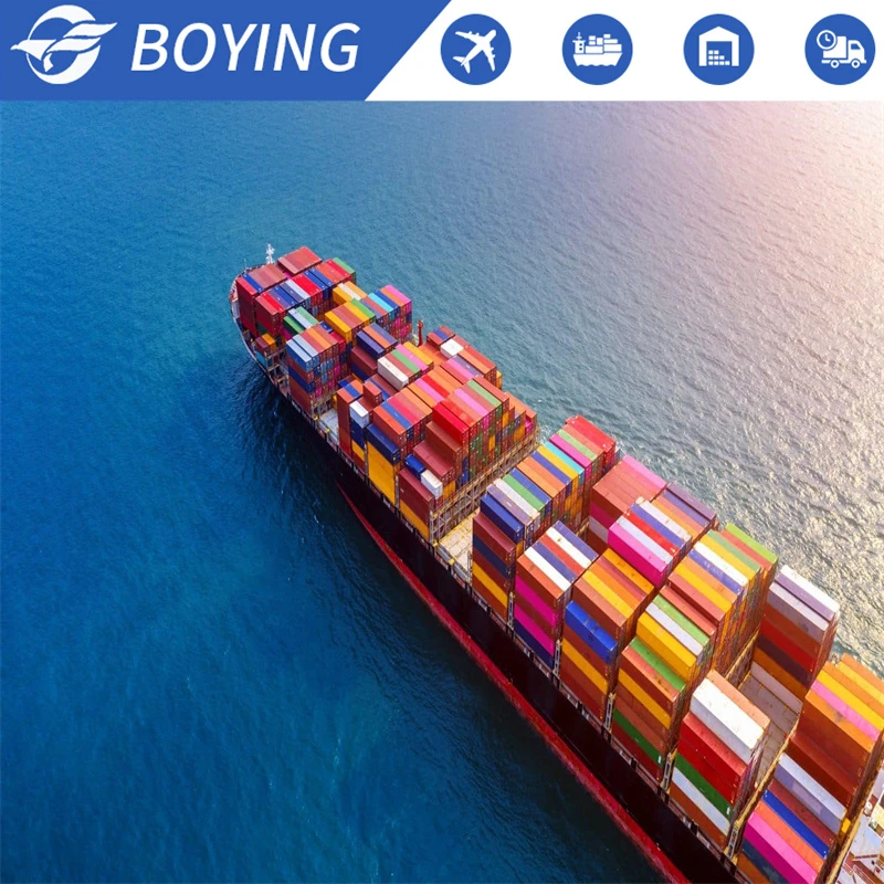 20 Years Own US Warehouse & Truck Team FBA China Shipping Agent Door to Door Service Sea Cargo Services to Canada USA Europe