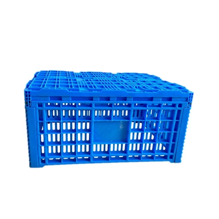 Wholesale 600*400mm Fruit Vegetable Storage Collapsible Plastic Crates Folding Crates