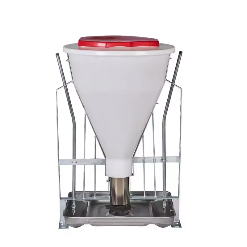 Strosen Stainless Feeders Feeding Equipment Farming Factory Wholesale Farm Automatic Pig Feeder Dry Wet Separation Pig Feeder