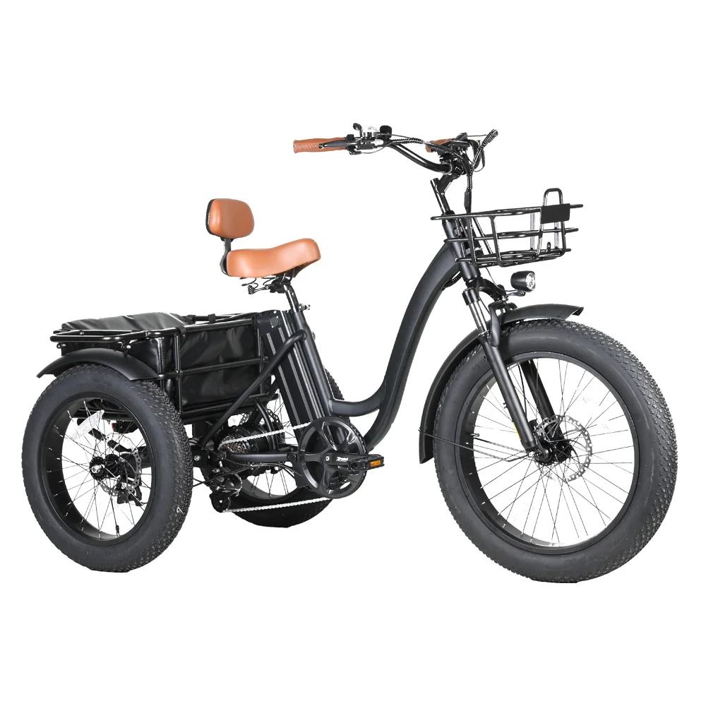 2023 48V 750w  rear drive 3 wheel cargo electric bike with speed differential