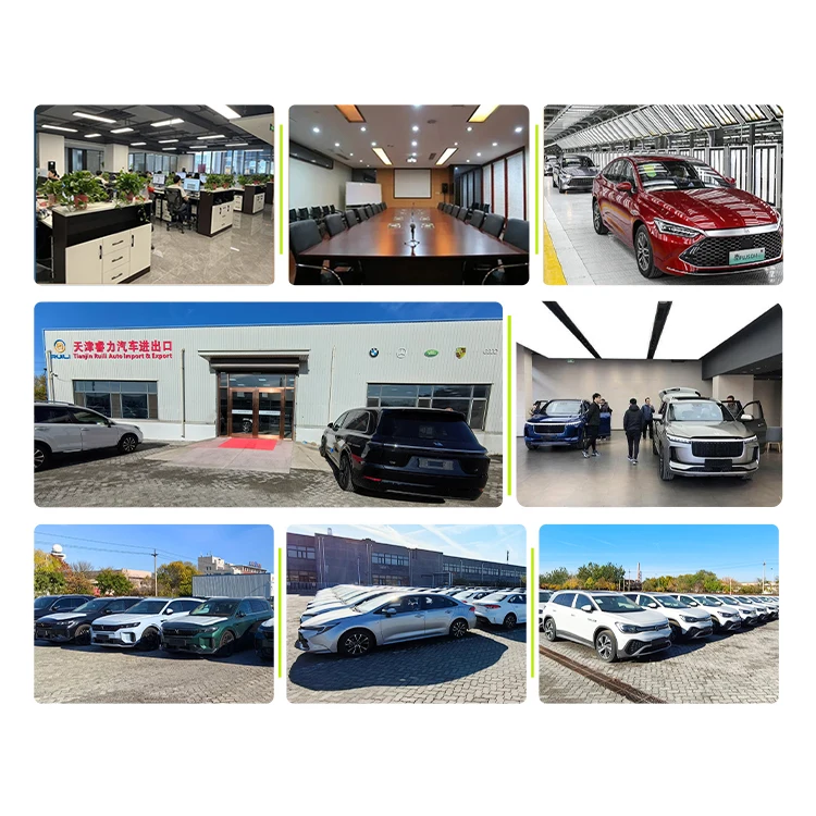 Byd Чайка 2024 горячая Распродажа Электромобили в наличии 305 км Летающая Версия сделано