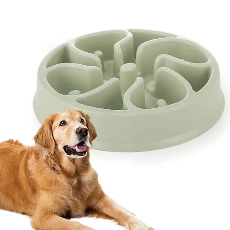 candy color modern  slow feeder dog bowl dog water bowl  slow eating pet bowl